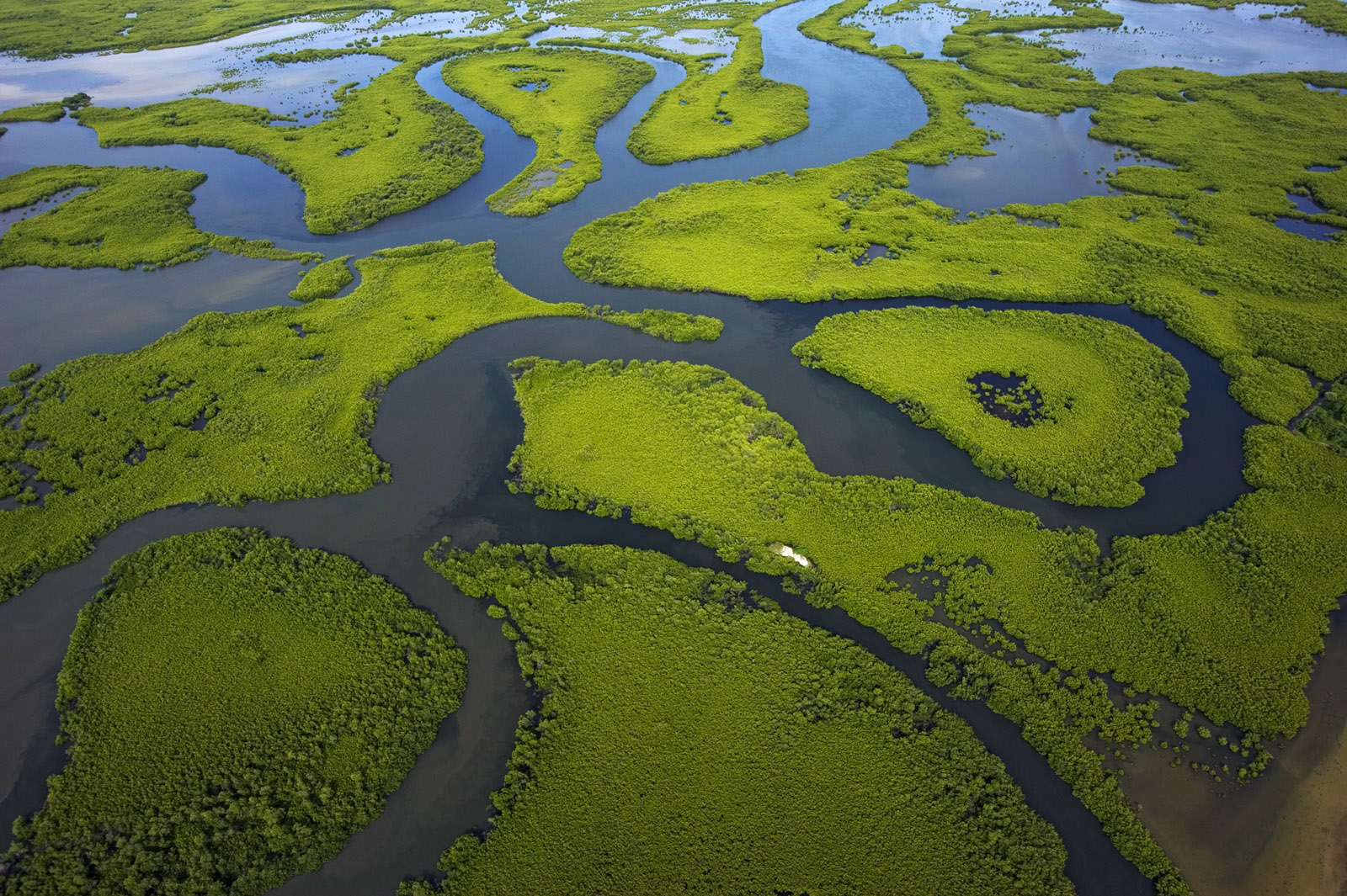 Adaptation basée sur les écosystèmes