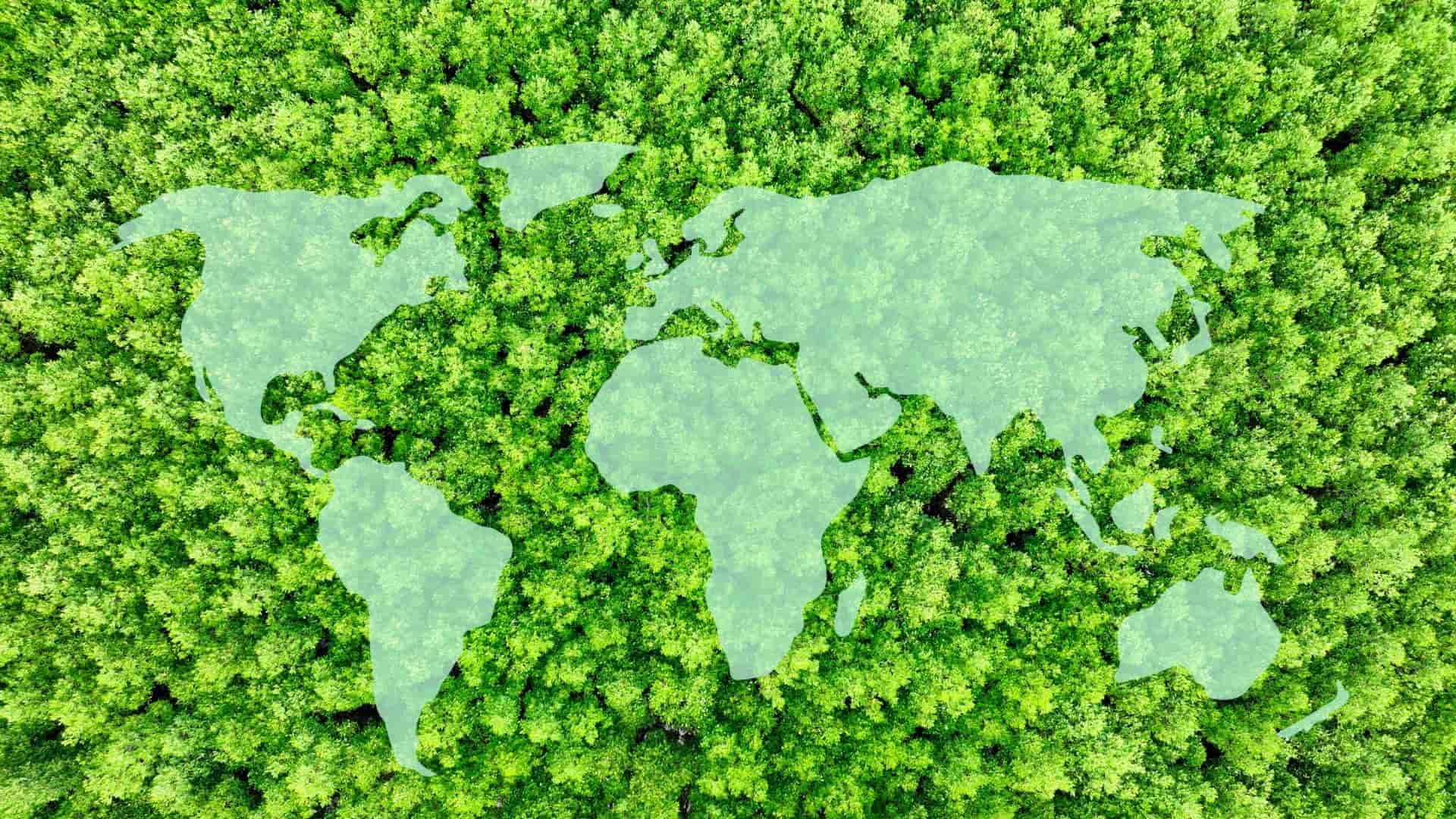 Système d'alerte précoce